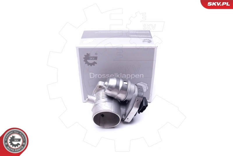 Throttle Body